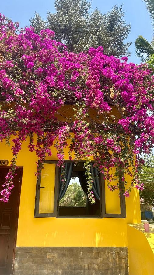 Bao Dien Guesthouse 바오록 외부 사진